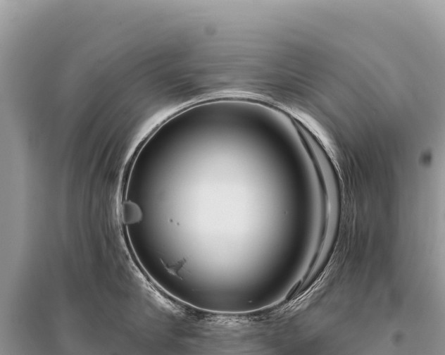 X0000096180910200801251212