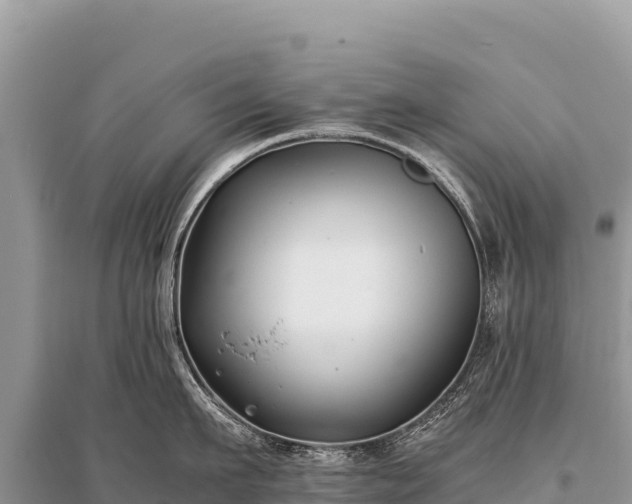 X0000096180911200801251212