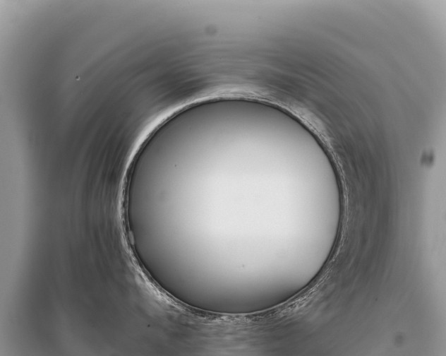 X0000096180912200801251212