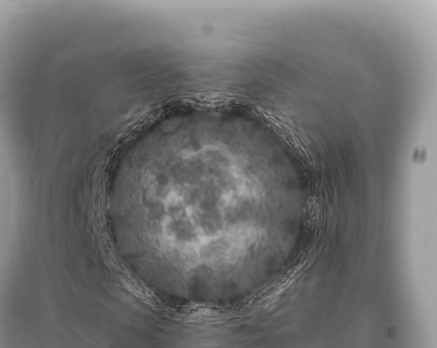 X0000096180913200801251212