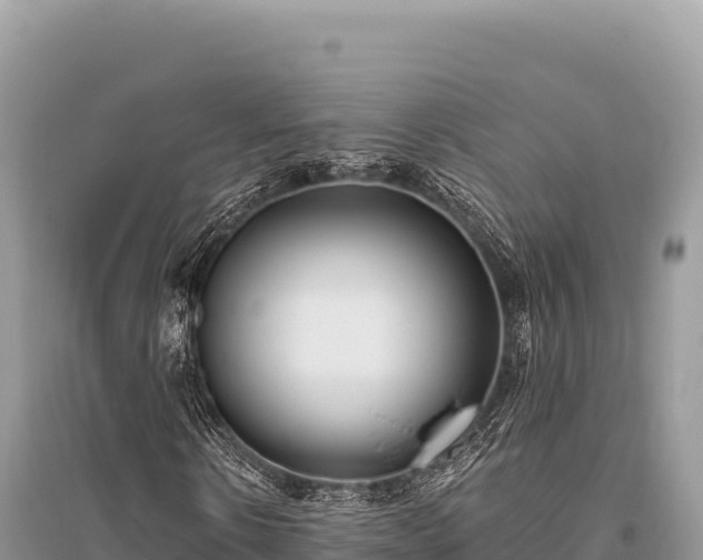 X0000096180914200801251212