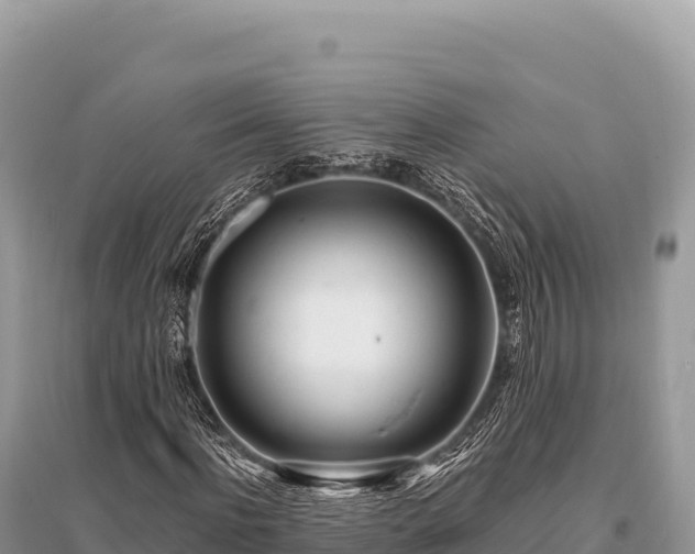 X0000096180916200801251212