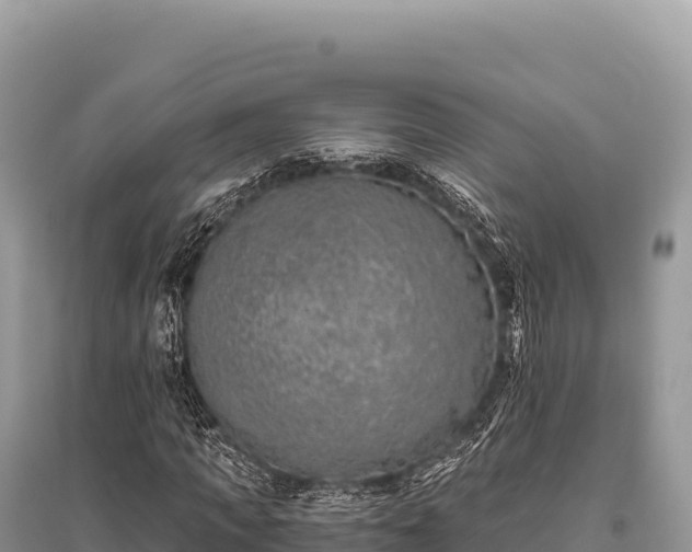 X0000096180917200801251212