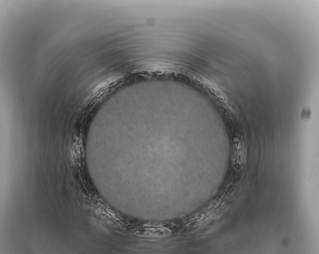 X0000096180918200801251212