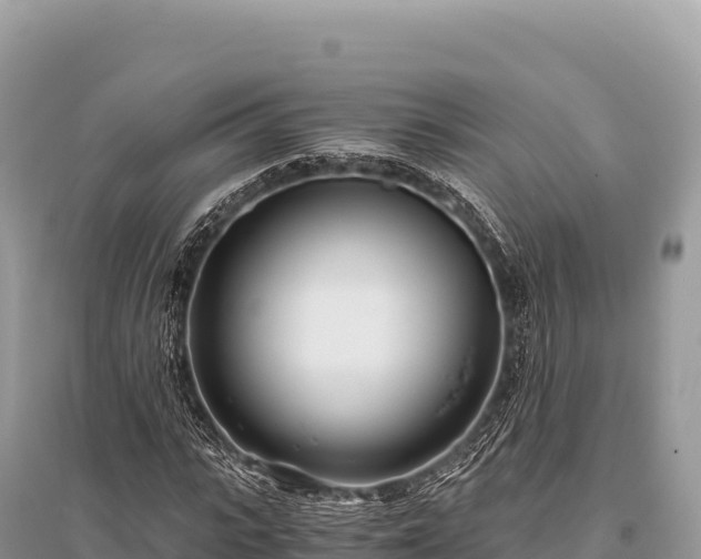 X0000096180919200801251212