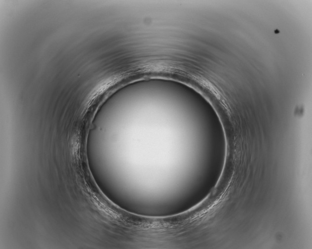 X0000096180922200801251212