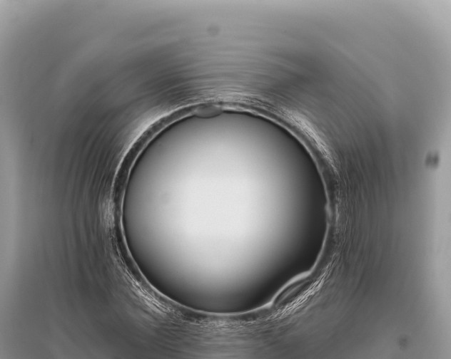 X0000096180924200801251212