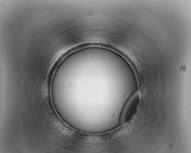 X0000096180927200801251212