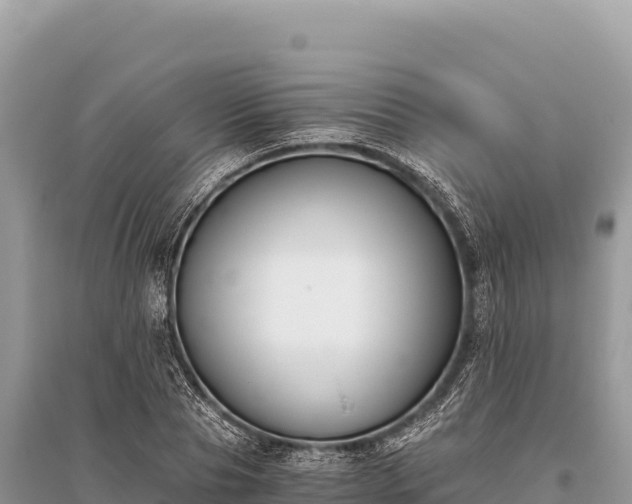 X0000096180929200801251212