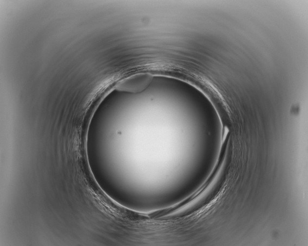 X0000096180930200801251212