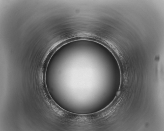 X0000096180931200801251212