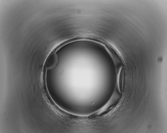 X0000096180932200801251212