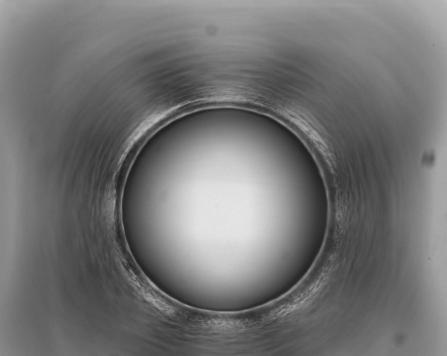 X0000096180933200801251212