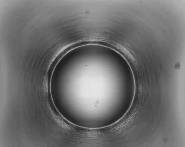 X0000096180934200801251212