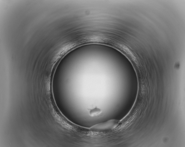 X0000096180938200801251212