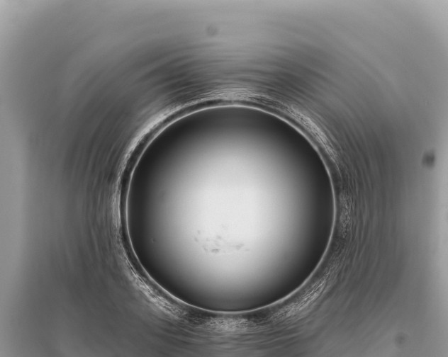X0000096180939200801251212