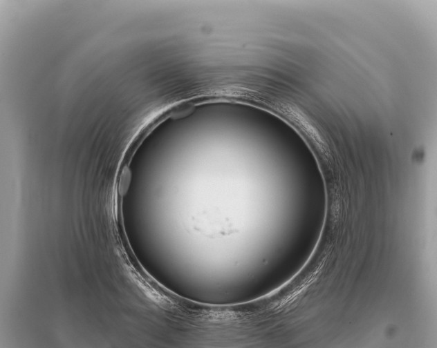 X0000096180940200801251212