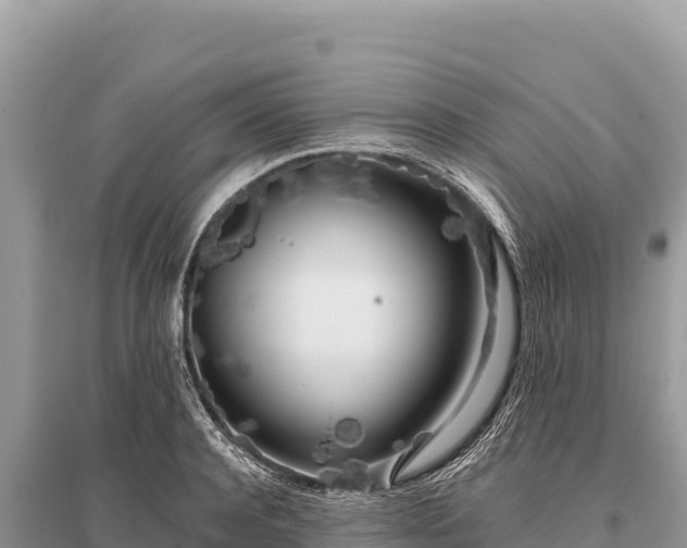 X0000096180944200801251212