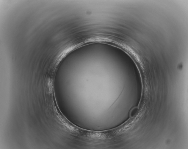 X0000096180945200801251212