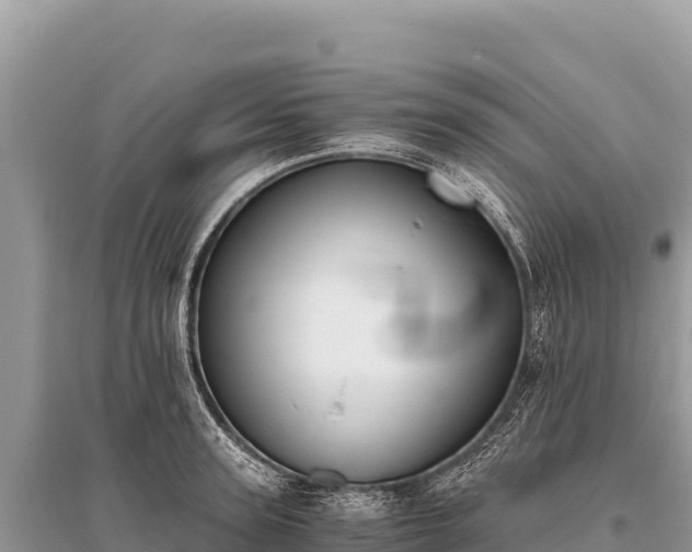 X0000096180947200801251212