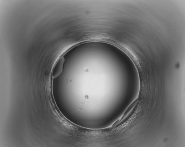 X0000096180948200801251212