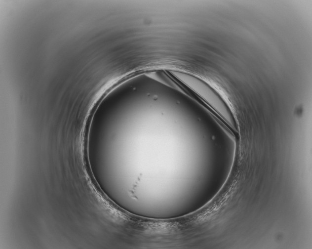X0000096180949200801251212