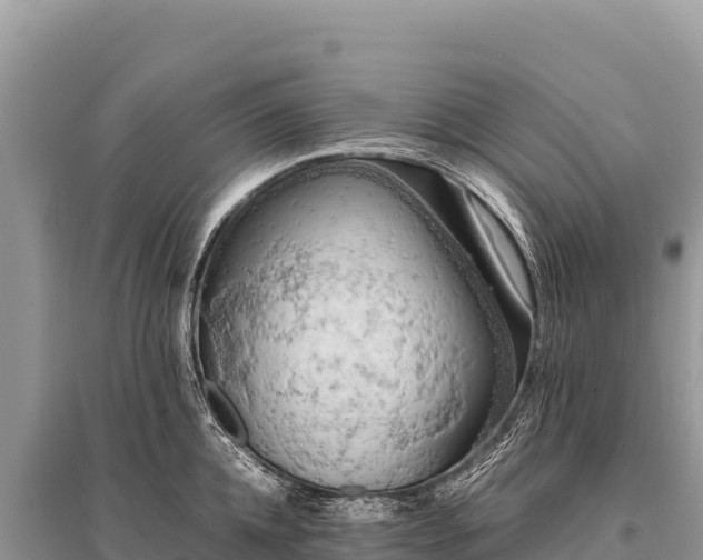 X0000096180952200801251212