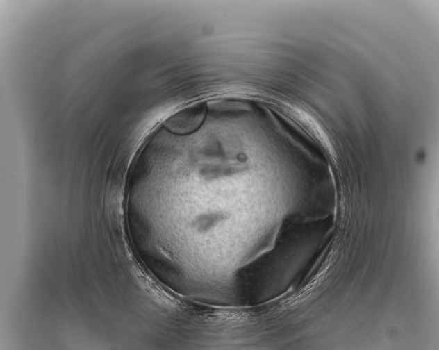 X0000096180954200801251212