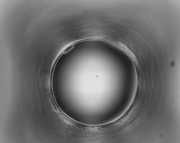 X0000096180956200801251212