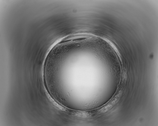 X0000096180957200801251212