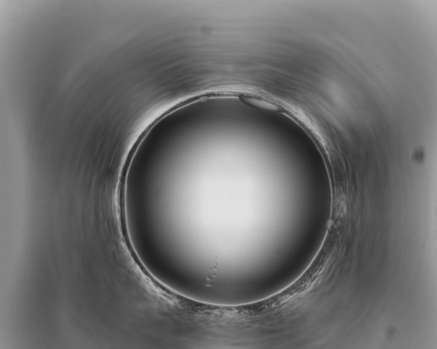 X0000096180959200801251212