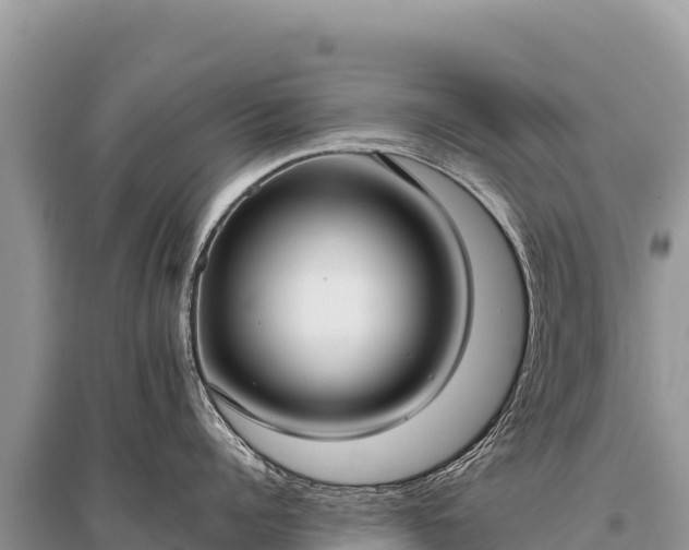 X0000096180960200801251212
