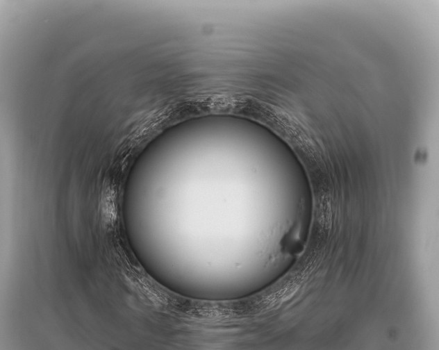 X0000096180962200801251212