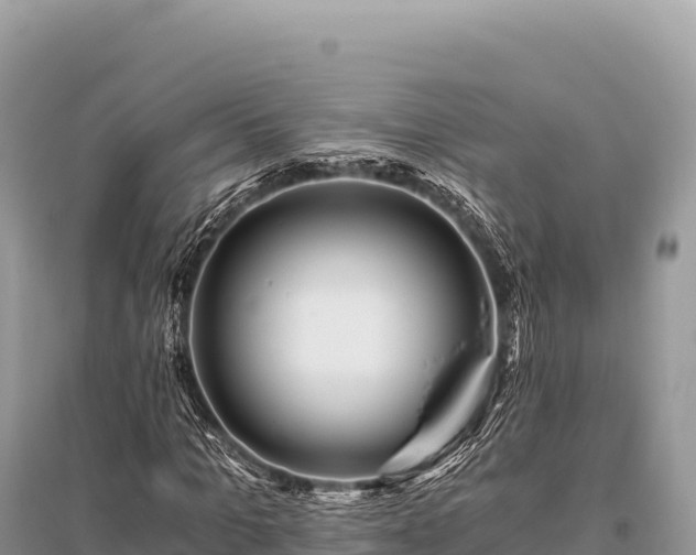 X0000096180965200801251212