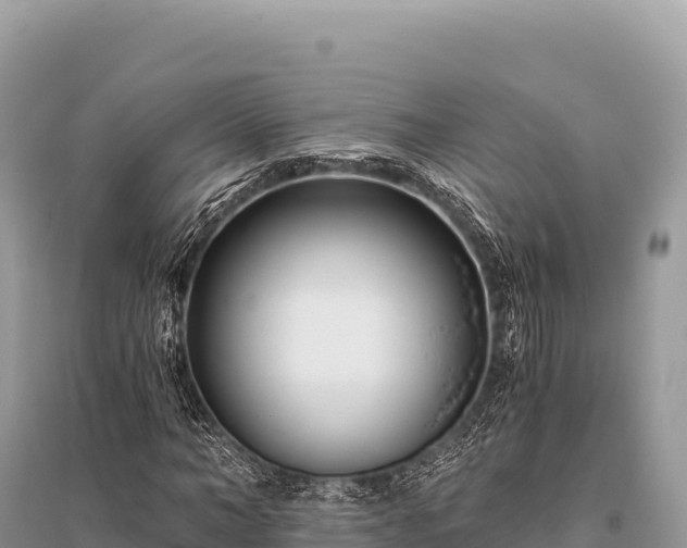 X0000096180966200801251212