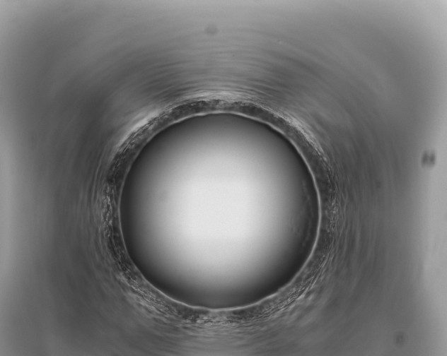 X0000096180967200801251212