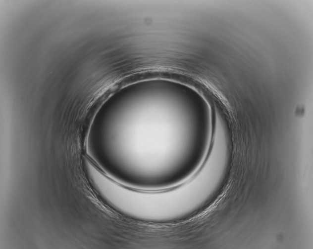 X0000096180969200801251212
