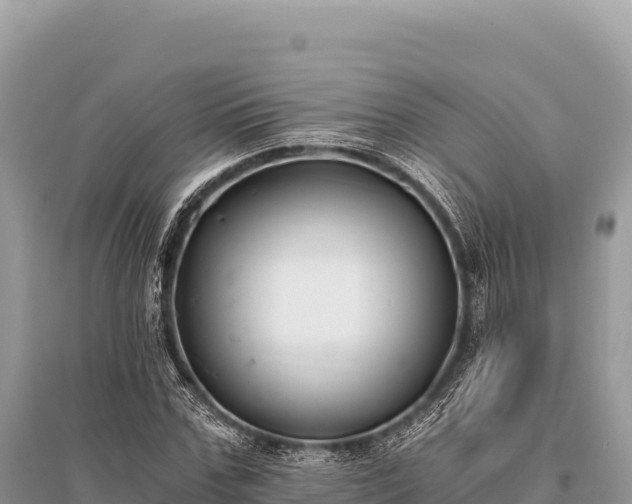 X0000096180971200801251212