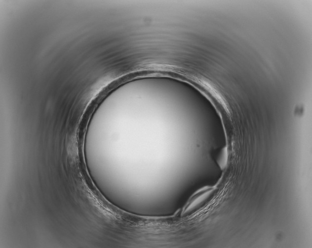 X0000096180972200801251212