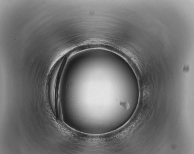 X0000096180973200801251212