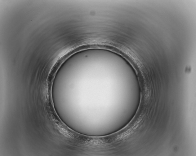 X0000096180974200801251212