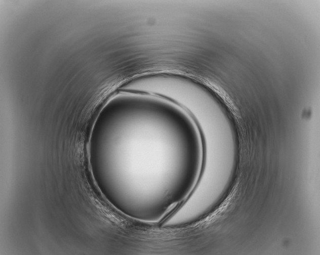 X0000096180977200801251212