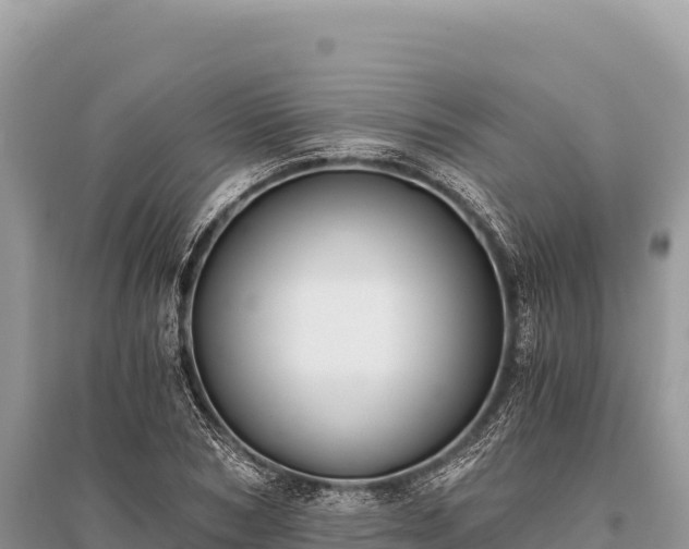 X0000096180978200801251212