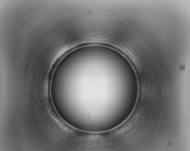 X0000096180982200801251211