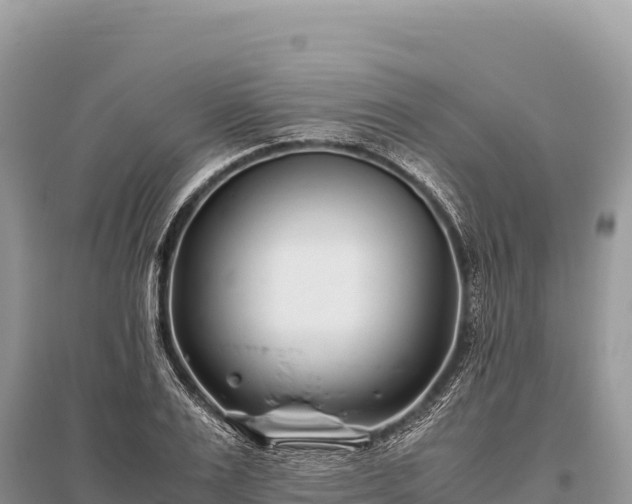 X0000096180983200801251211