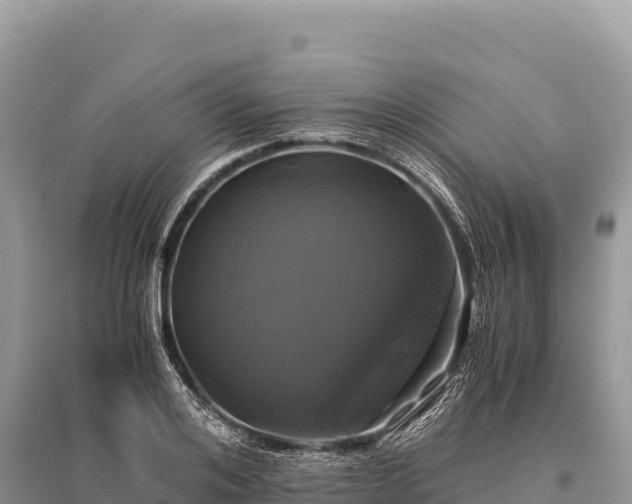X0000096180984200801251211