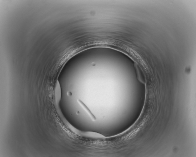 X0000096180985200801251211