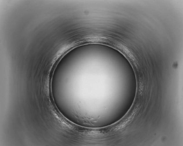 X0000096180986200801251211