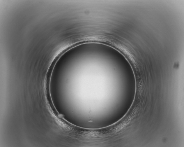 X0000096180991200801251211