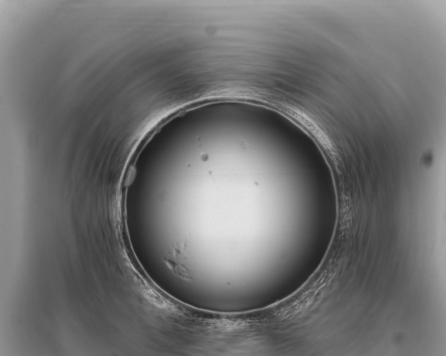 X0000096180996200801251211